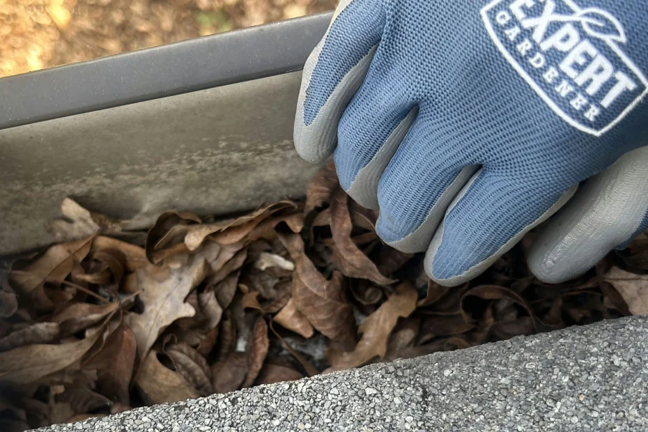 Gutter Cleaning Denham Springs