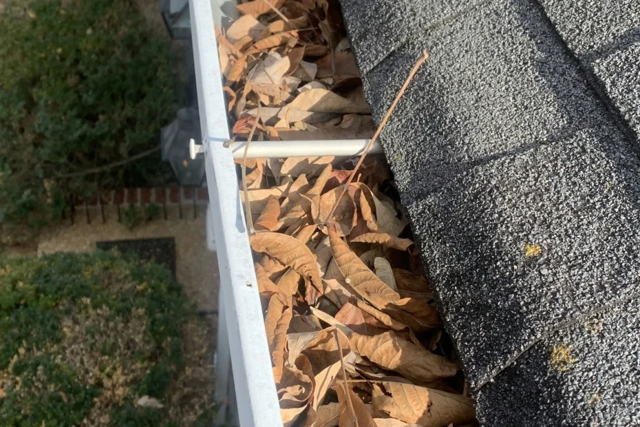 Gutter Cleaning Denham Springs