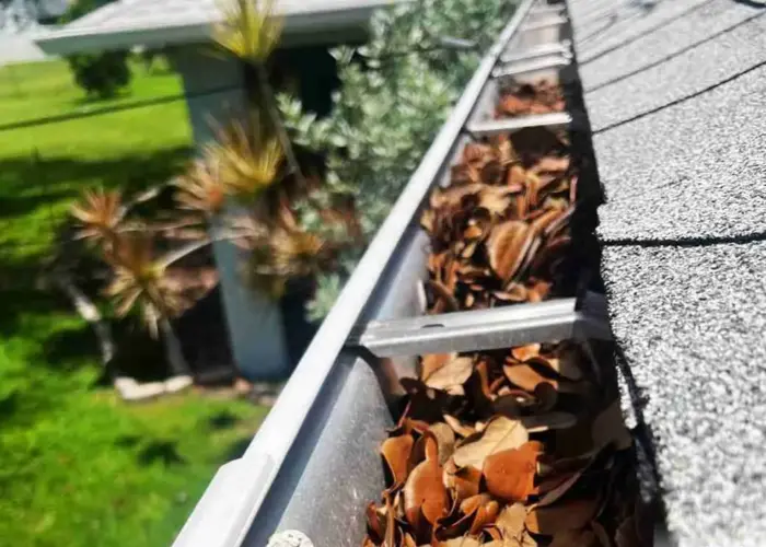 Gutter Cleaning Denham Springs home page